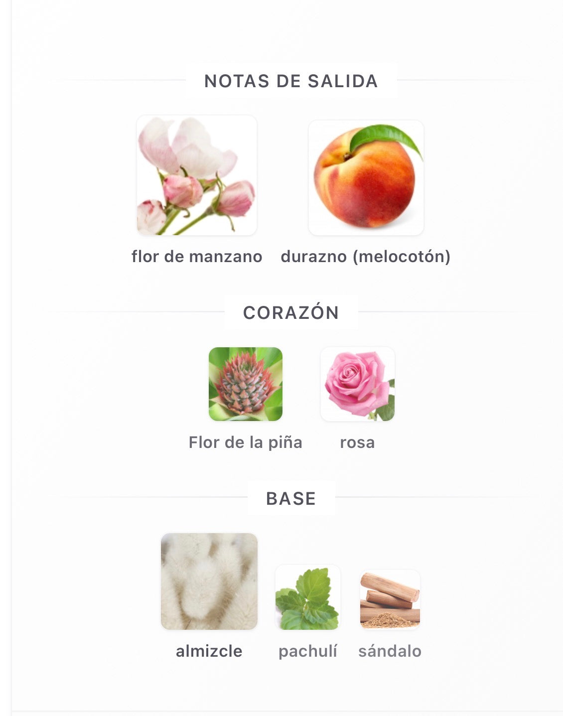 Ahmed Al Maghribi Endless Eau de Parfum 100 ml Unisex