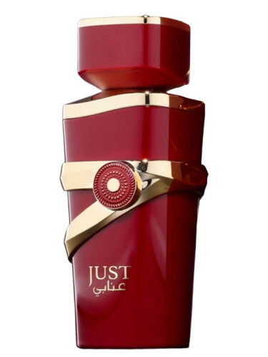 Fragance World Just Anabi Eau de Parfum 100 ml Mujer