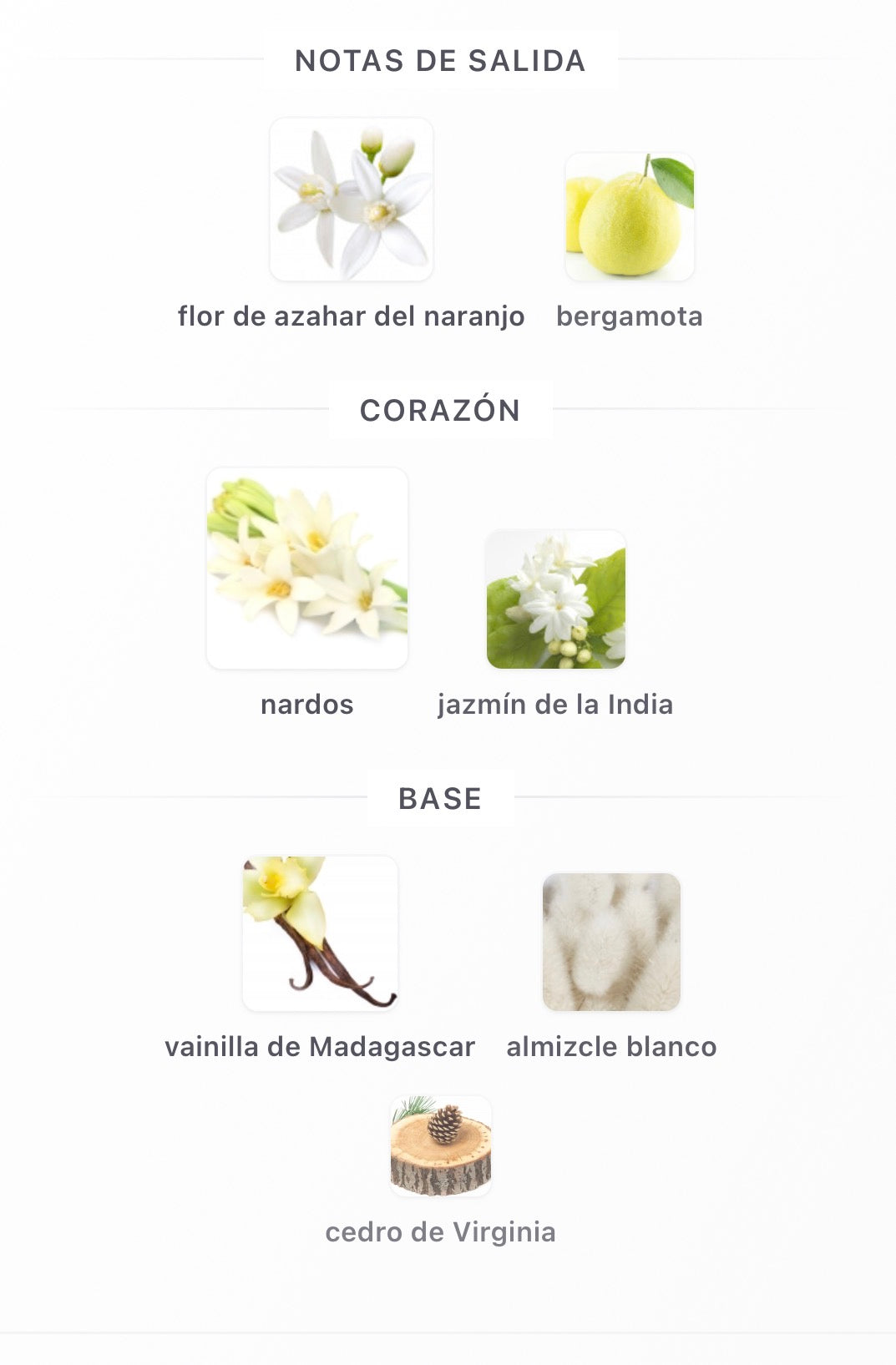 Maison Alhambra La Voie Eau de Parfum 100 ml