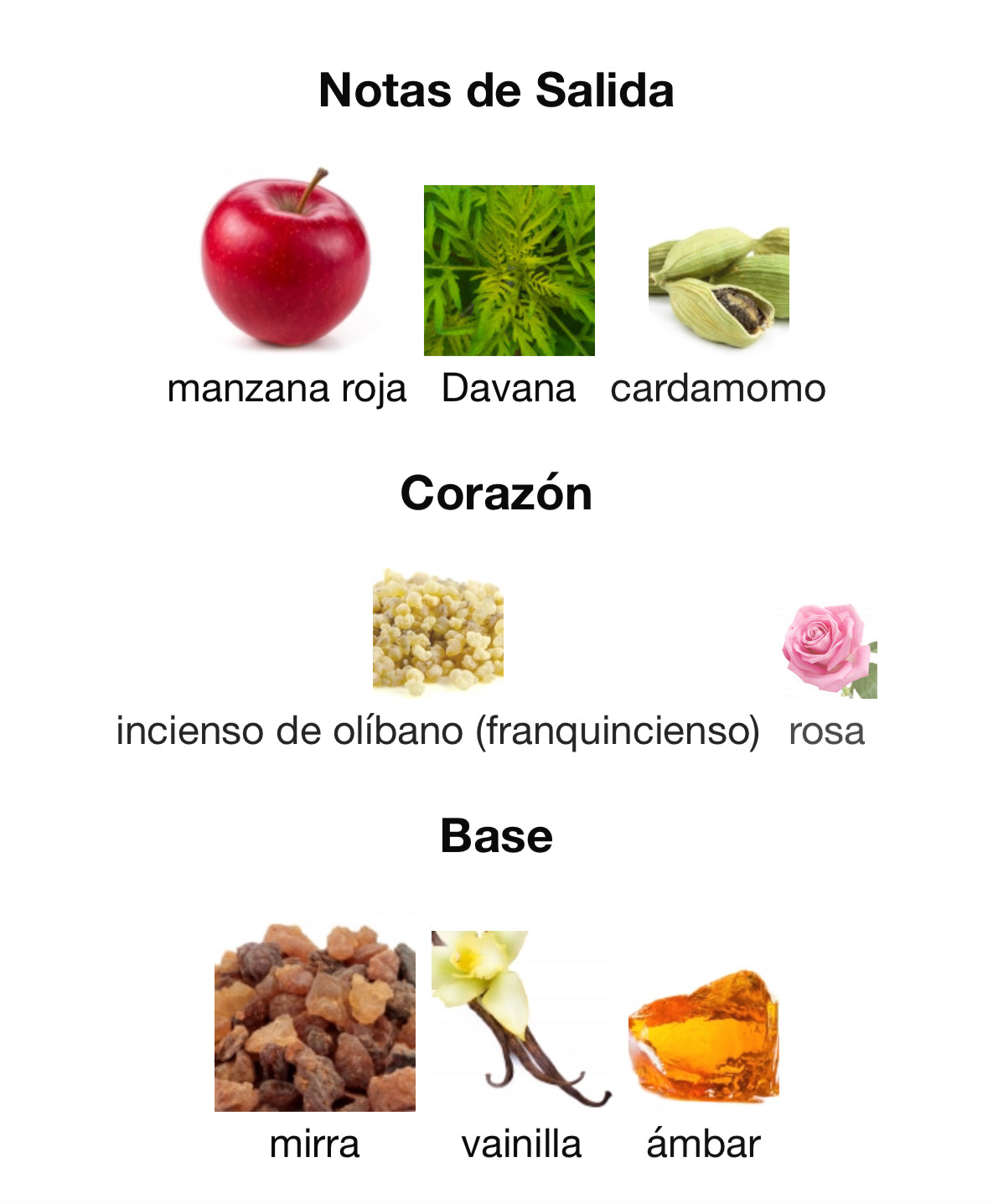 French Avenue Firestorm Extrait Eau de Parfum 100 ml Unisex