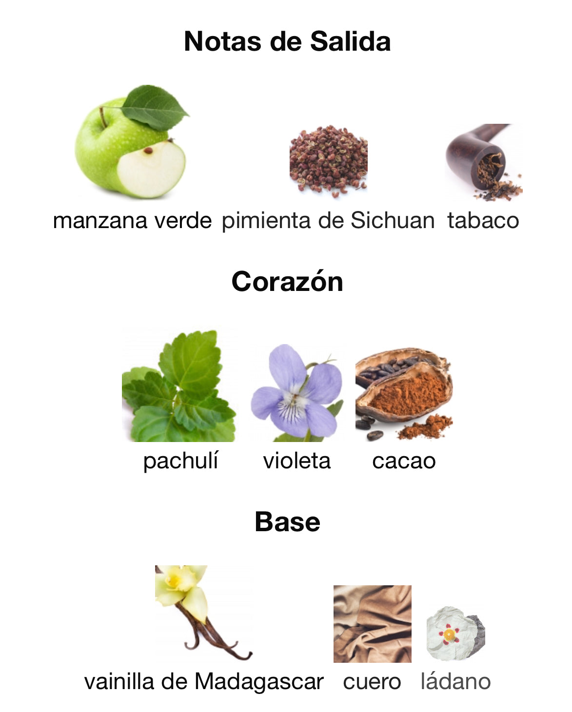 Riiffs Prive Blue Eau de Parfum 100 ml Mujer