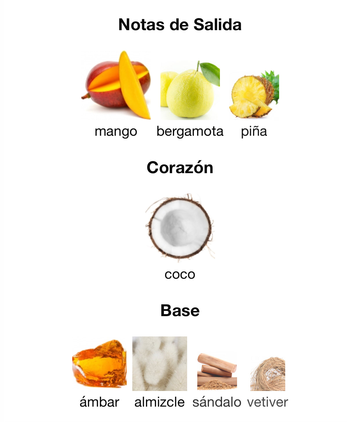 Rayhaan Tropical Vibe Eau de Parfum 100 ml Hombre