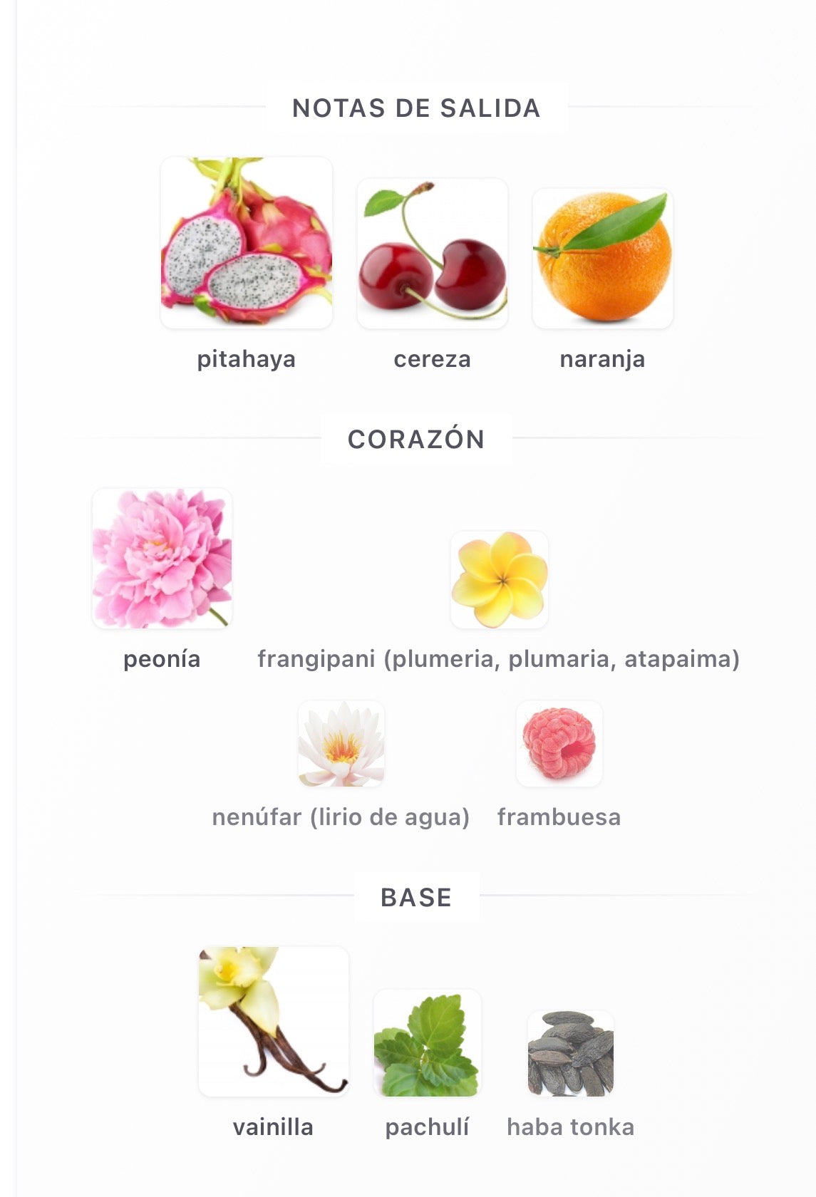 Lattafa Jouri Eau de Parfum 100 ml Mujer