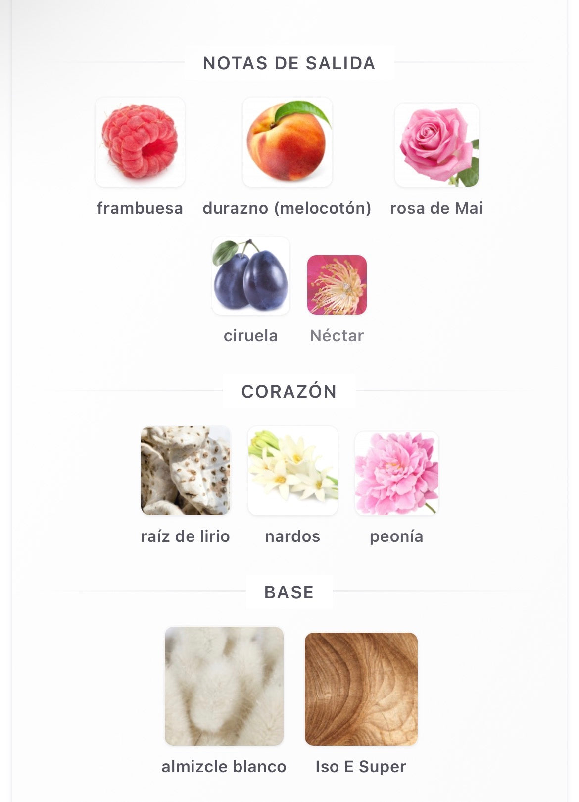 Riiffs Hulm Extrait de Parfum 100 ml Mujer
