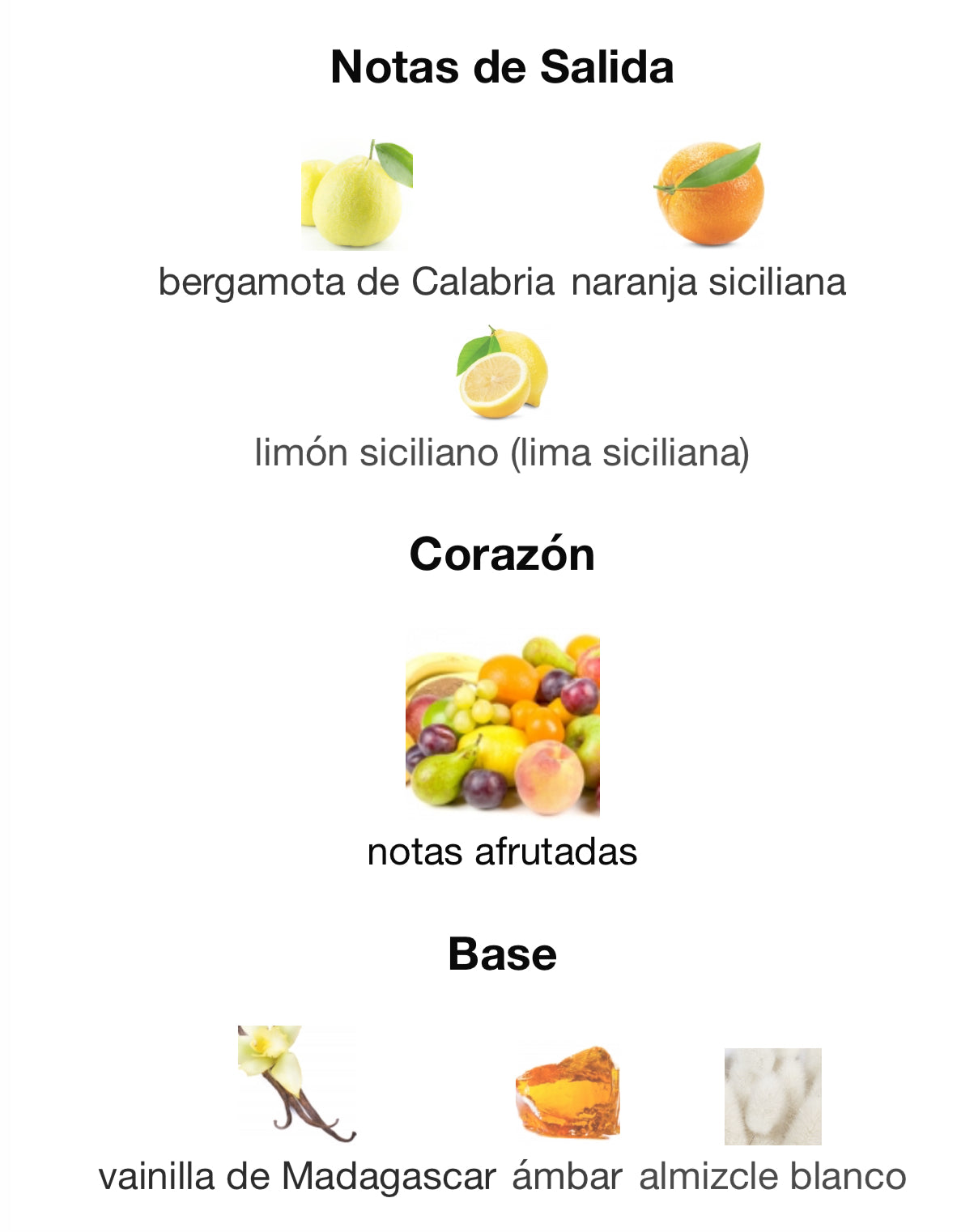 Paris Corner Emir Voux Turquoise Eau de Parfum 100 ml unisex