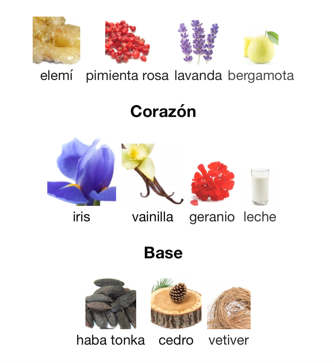 French Avenue Thunder Extrait Eau de Parfum 100 ml Unisex