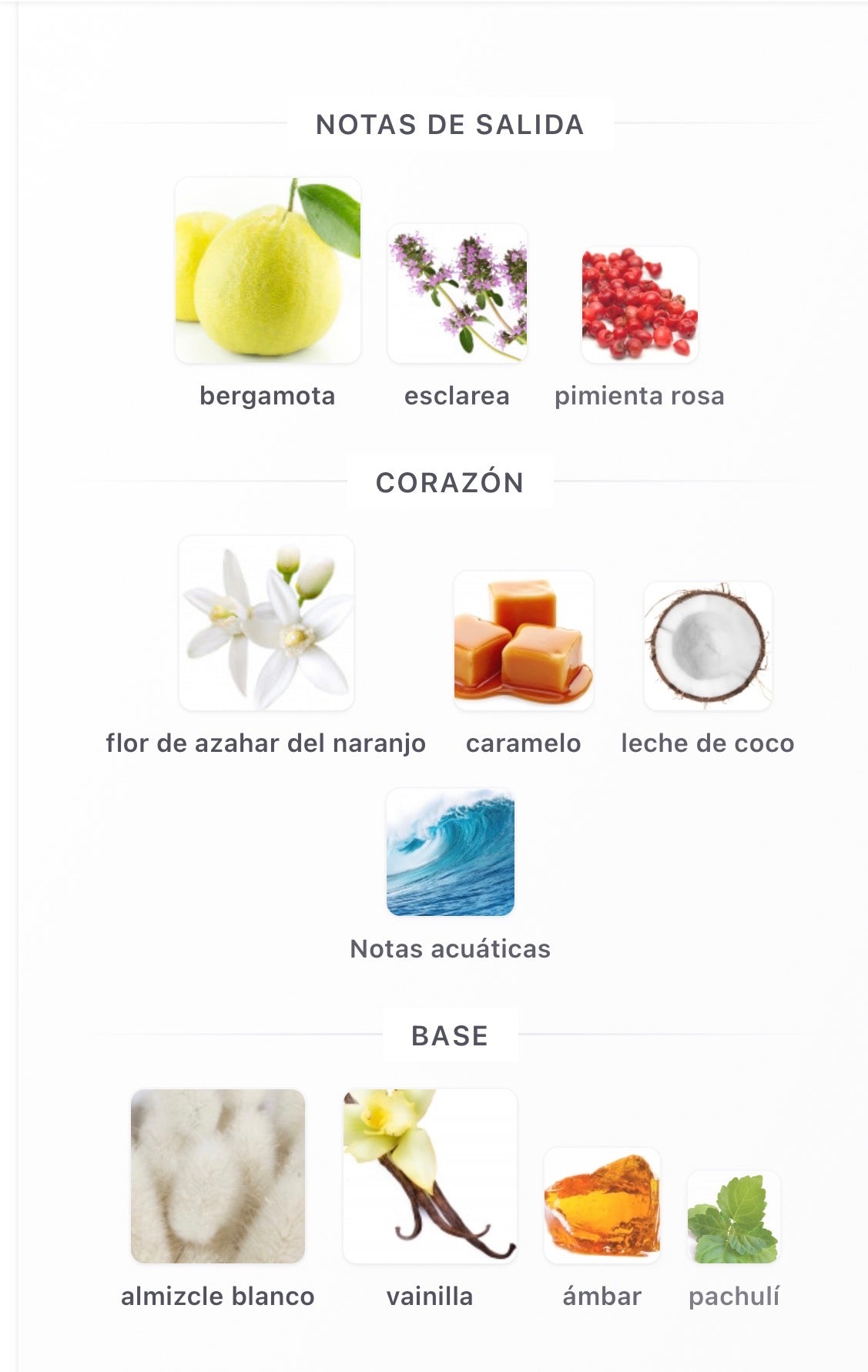 Armaf Perle D’Or Eau de Parfum 75 ml