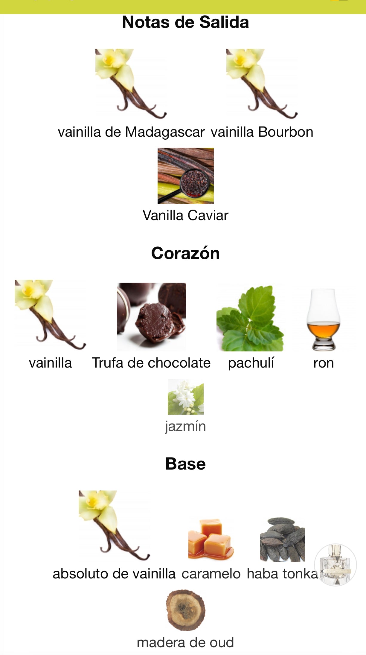 French Avenue Aromatix X Xandal Eau de Parfum 100 ml Unisex