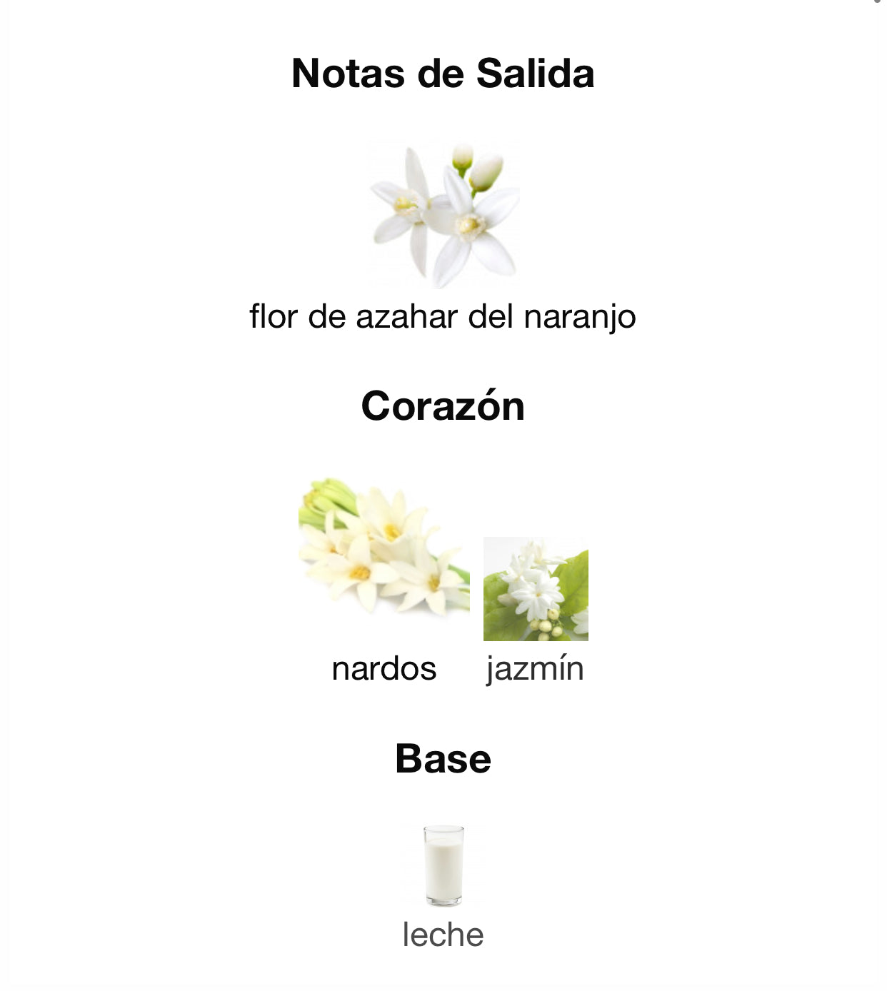 Maison Alhambra So Candid Mujer Eau de Parfum 100 ml