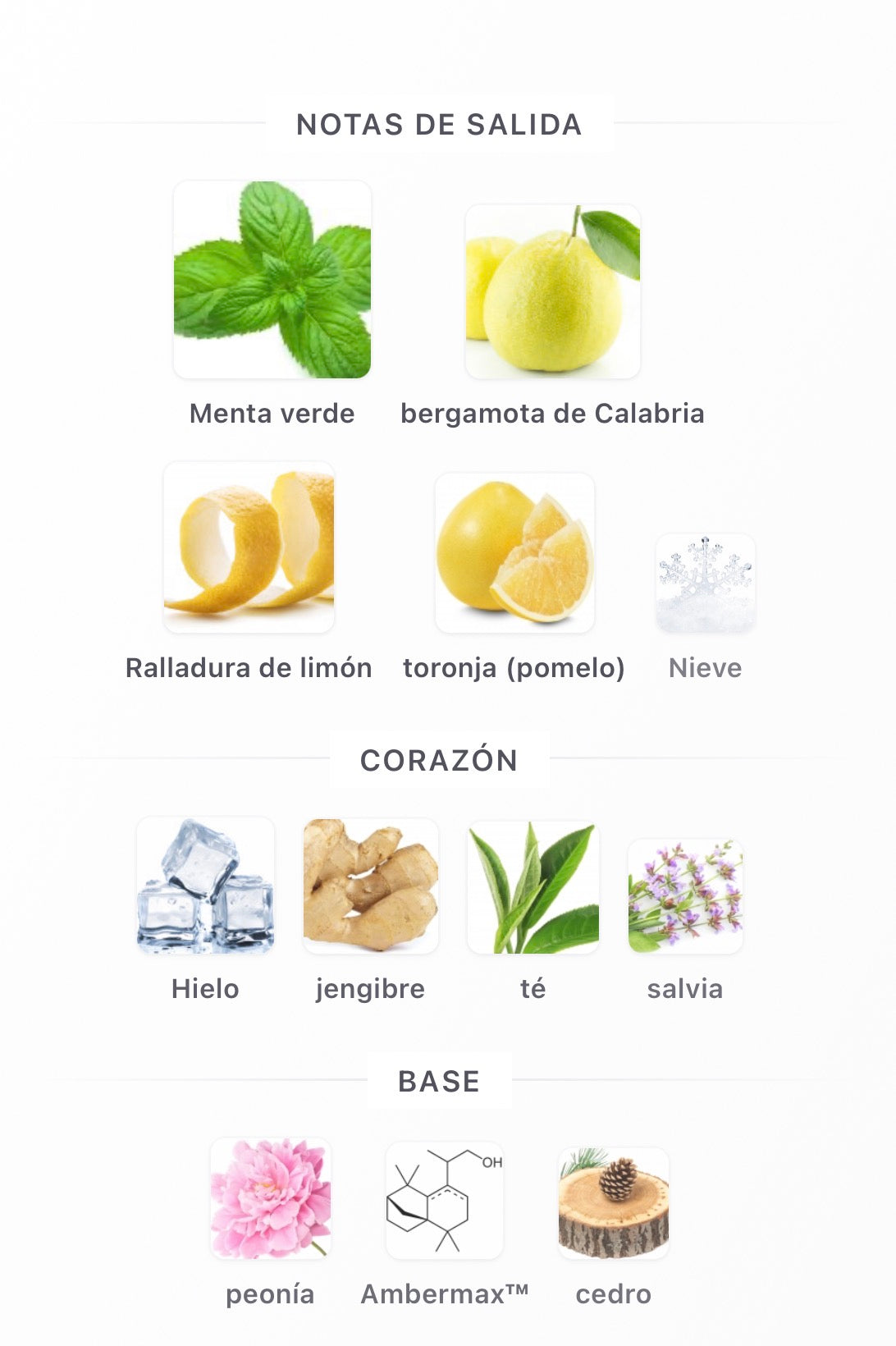 Riiffs Freeze Extrait de Parfum 100 ml