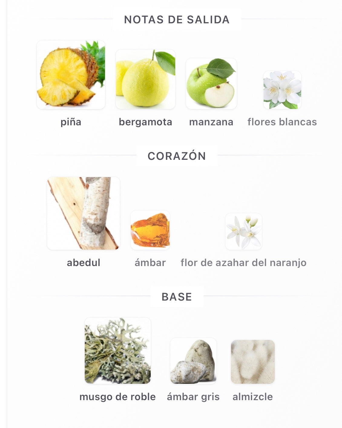 Zimaya Sharaf The Club Extrait de Parfum 100 ml