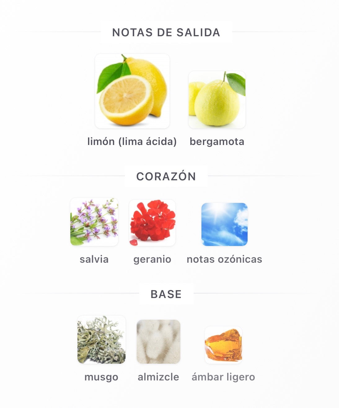 Nusuk Sama Extrait de Parfum 100 ml