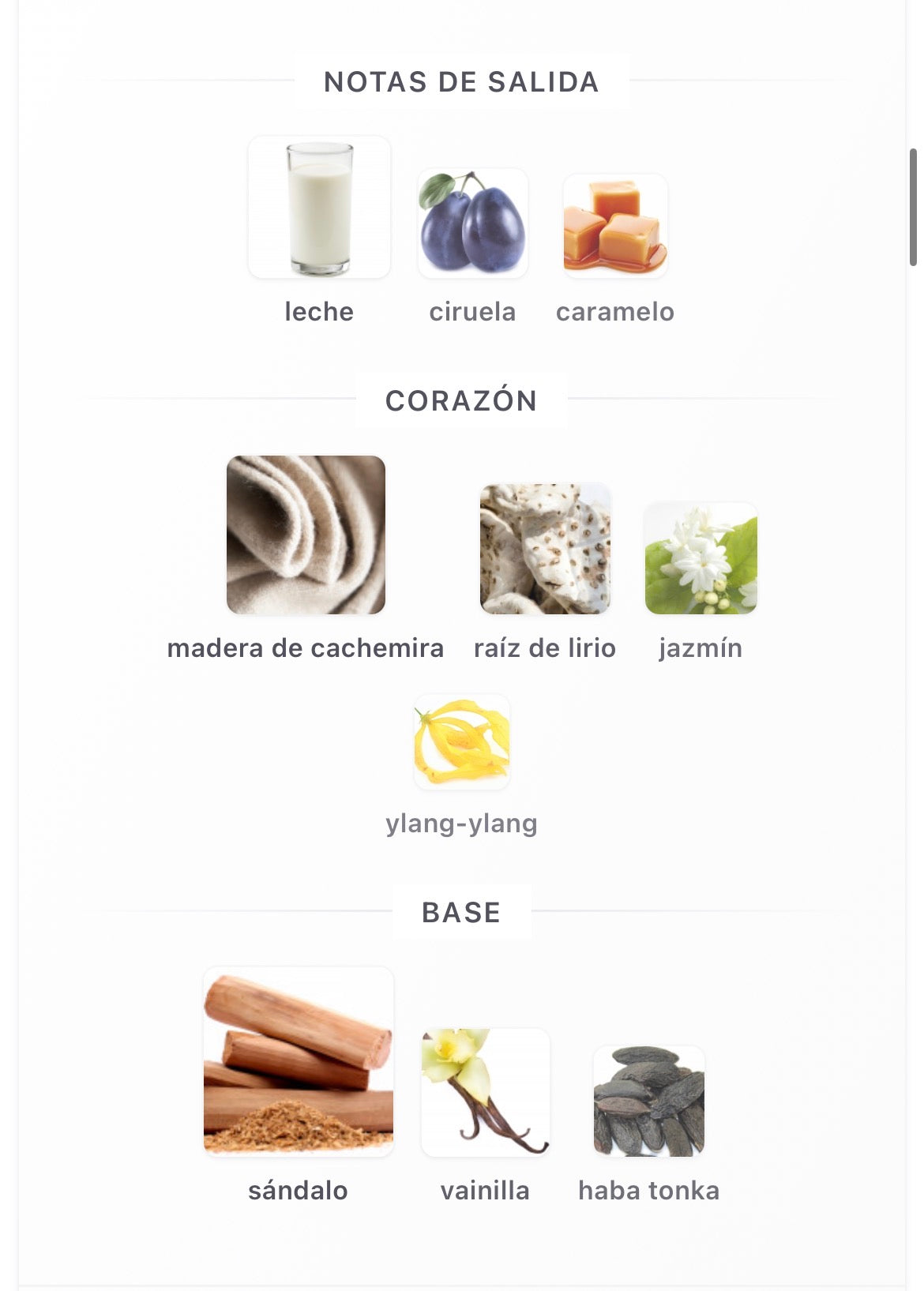 Maison Asrar Milky Way Eau de Parfum 100 ml Unisex