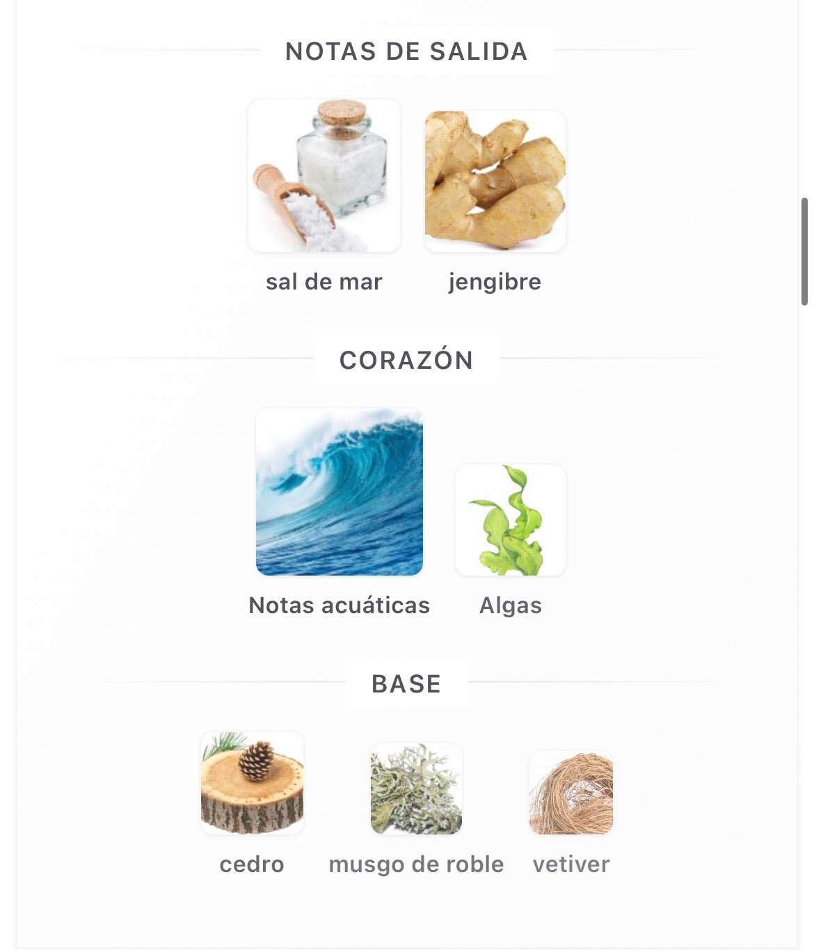 Paris Corner Zodiac Solmaris Eau de Parfum 100 ml