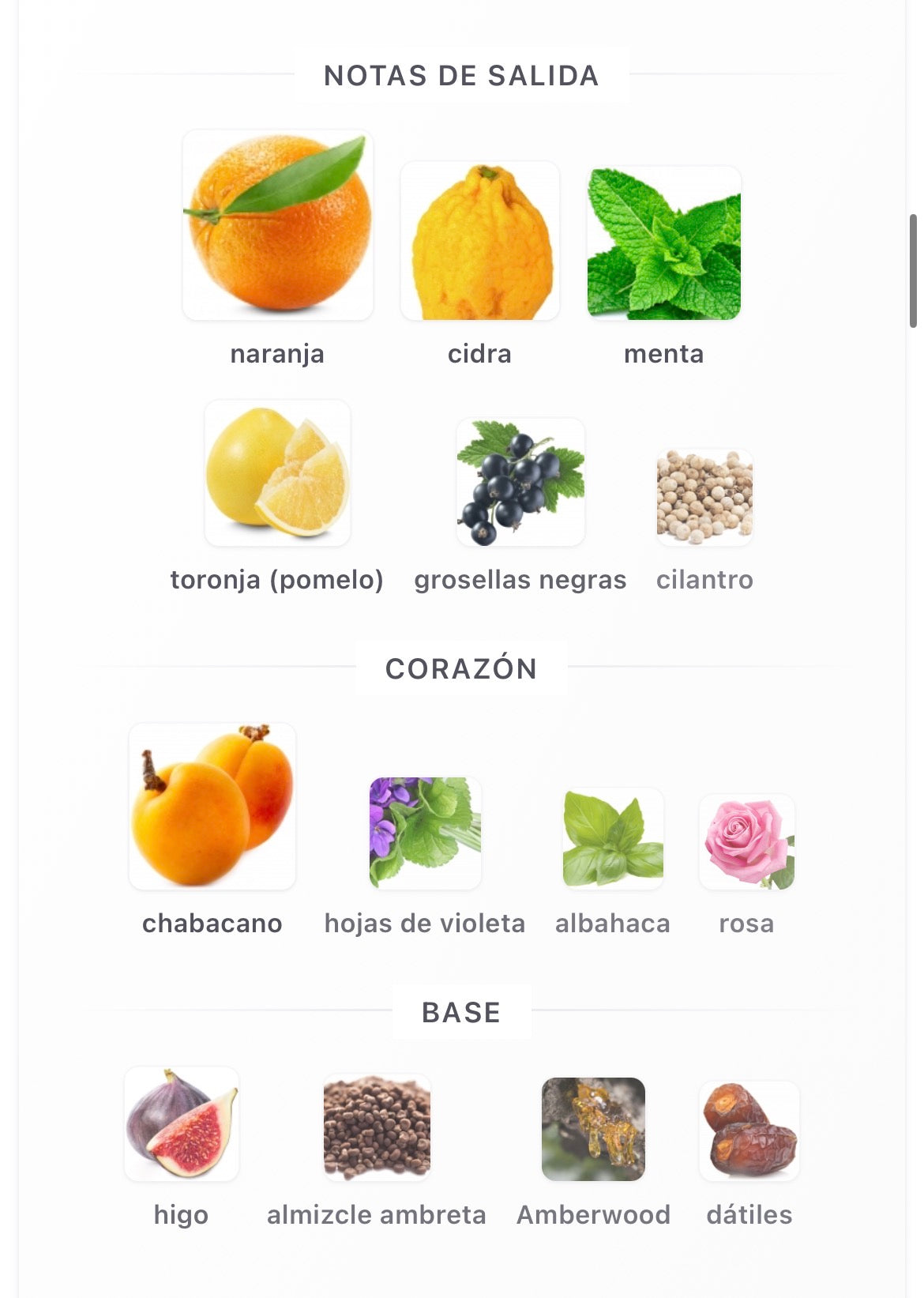 Afnan Rare Reef Eau de Parfum 100 ml Hombre