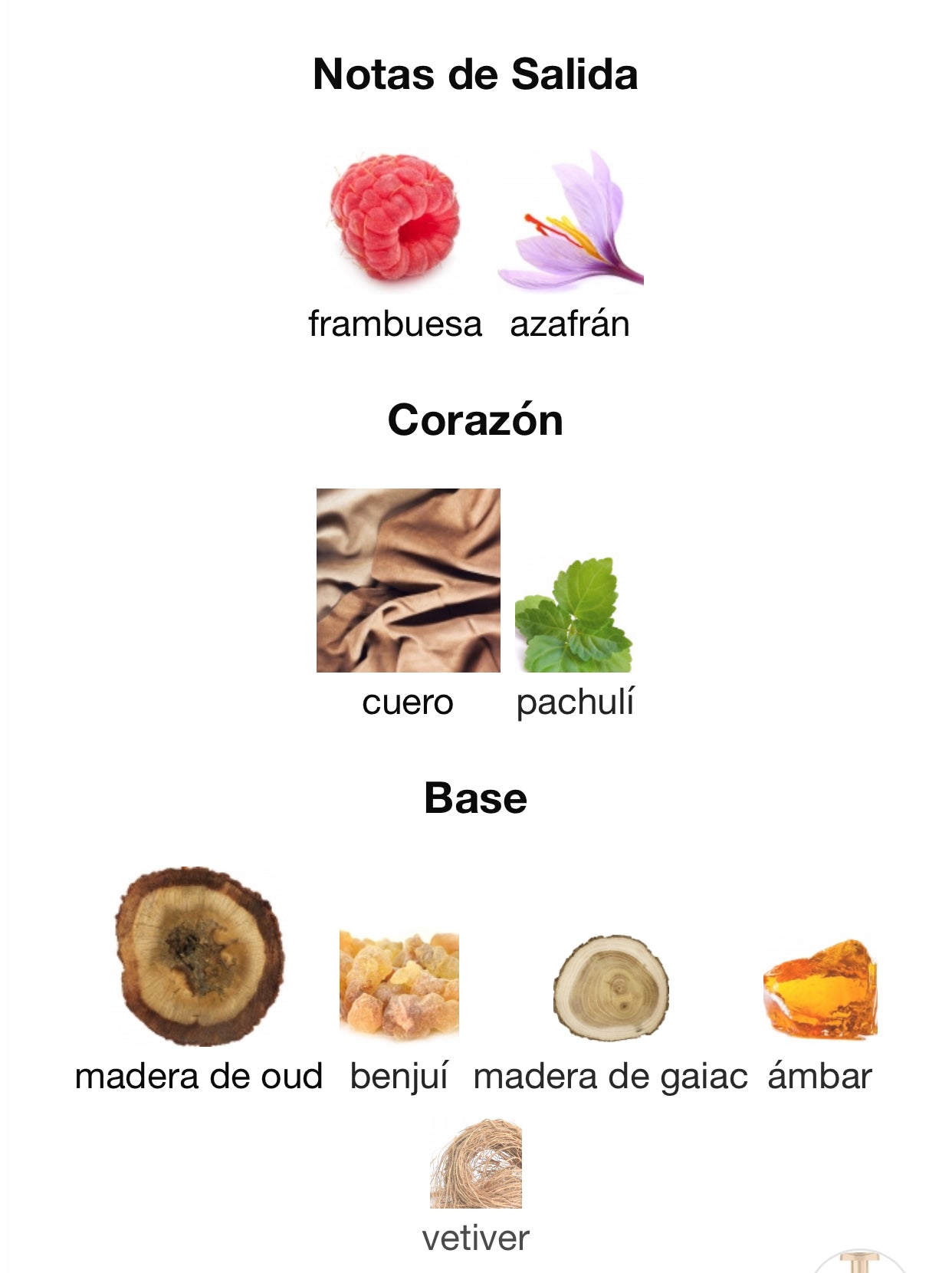 Lattafa Pride Al Qiam Gold Eau de Parfum 100 ml Unisex