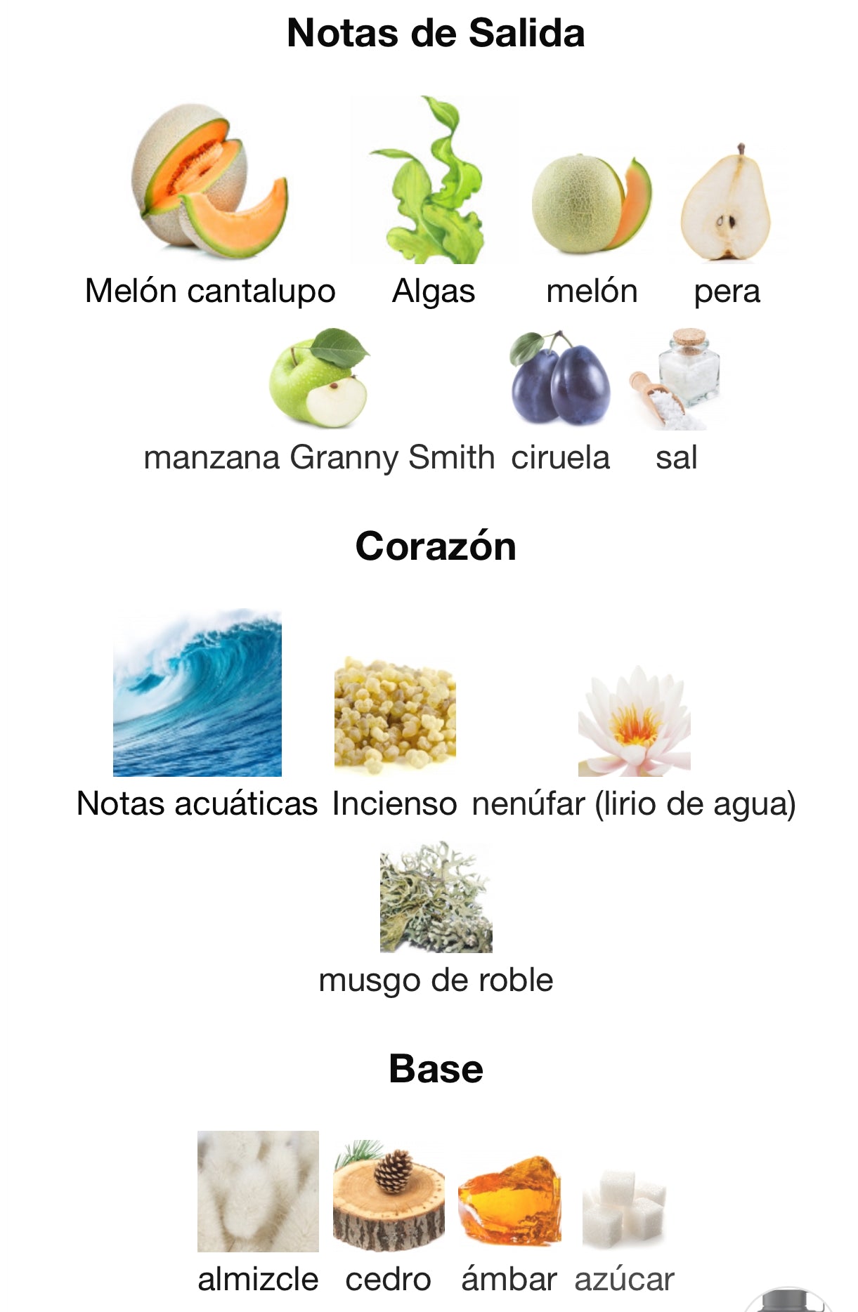 Armaf Odyssey Ba Ha Más Eau de Parfum 100 ml