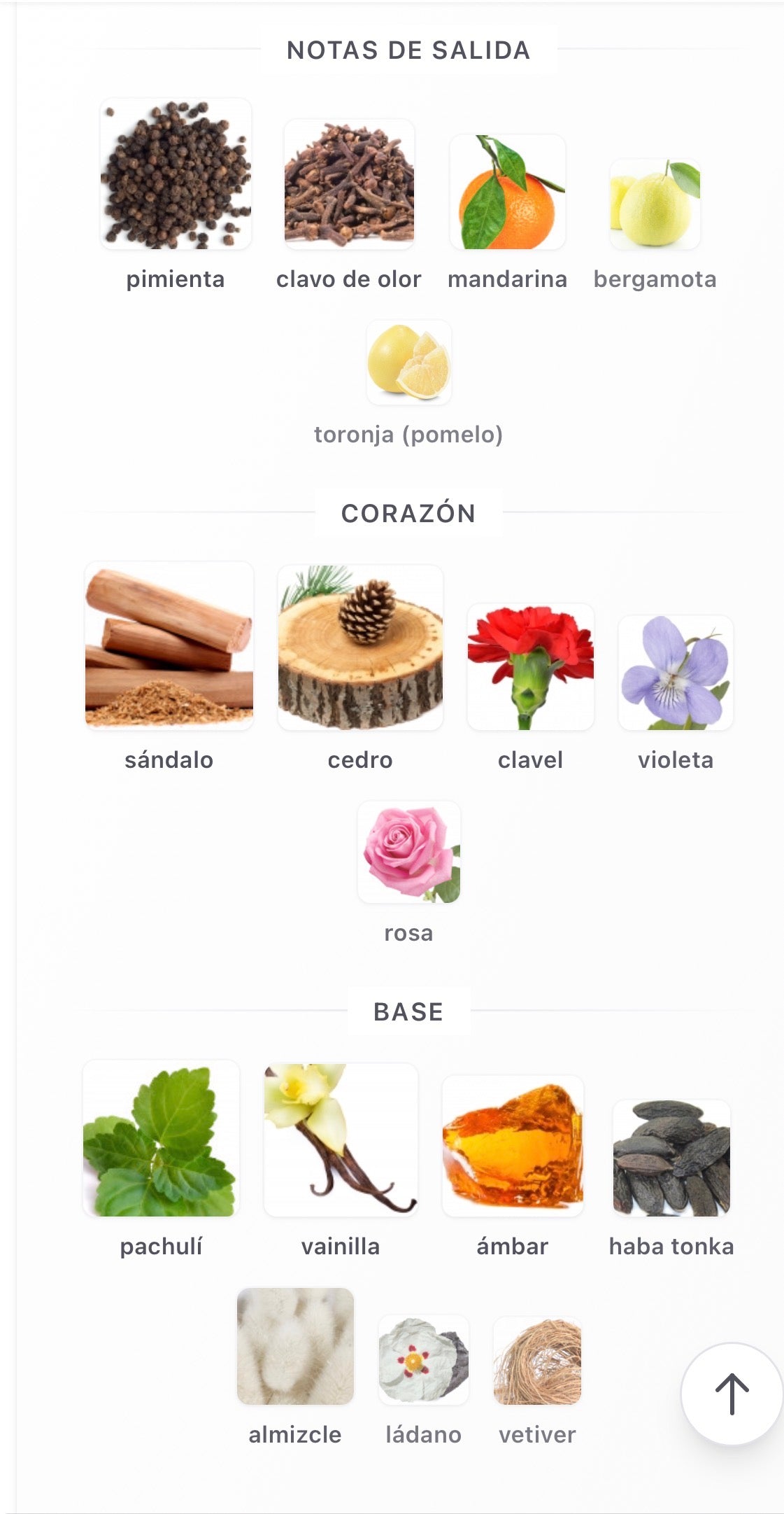 Fomo The Envy of Fomo Le Parfum 100 ml