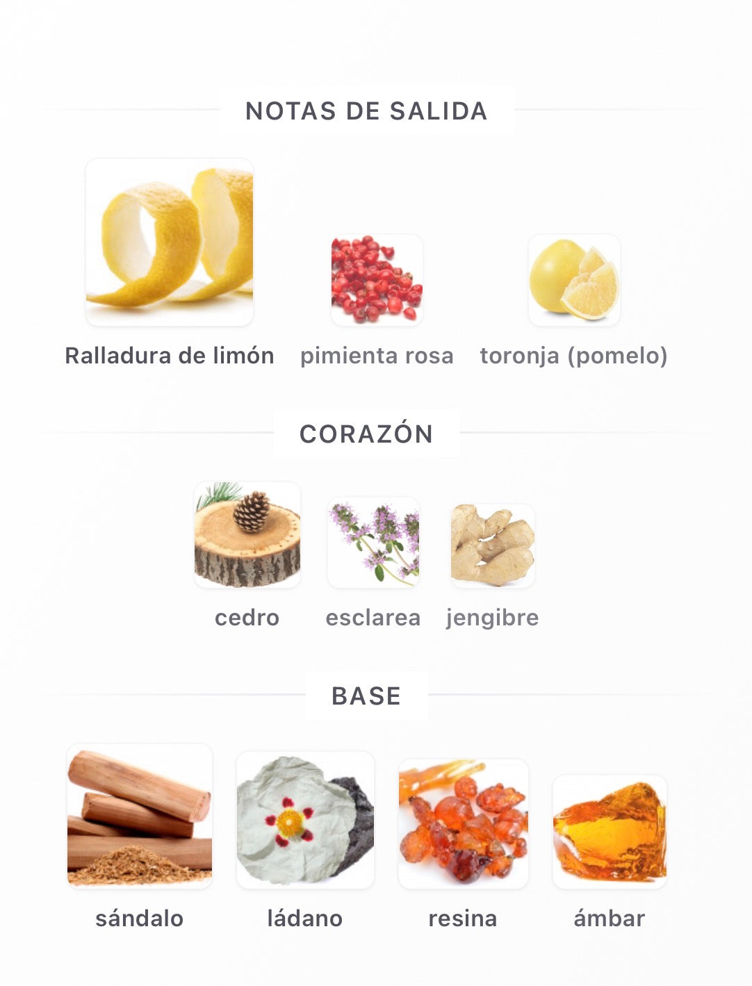 Riiffs Seasons Drift Extrait de Parfum 100 ml