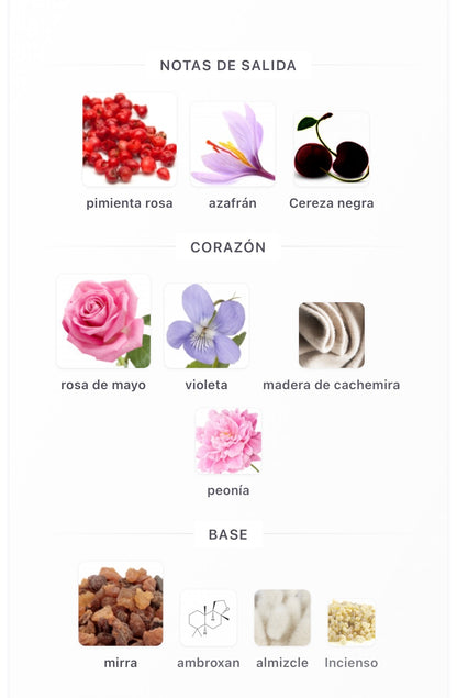 Fragance World Venti Carisma Eau de Parfum 100 ml