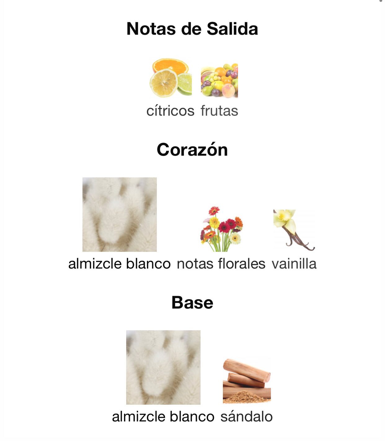 Lattafa Musk Mood Eau de Parfum 100 ml Unisex