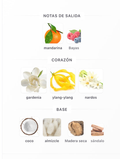 Afnan Lynked Forever Eau de Parfum 100 ml