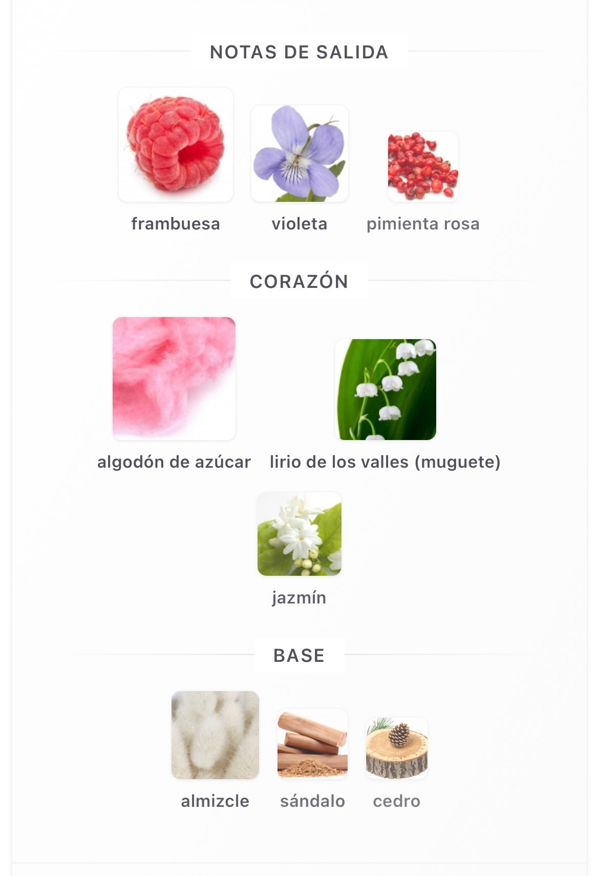 Lattafa Petra Viola Eau de Parfum 100 ml