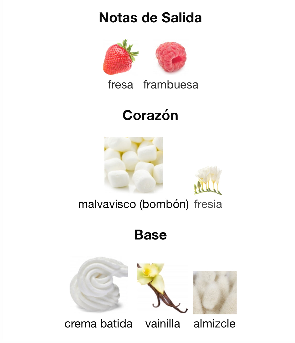 Lattafa Mallow Maddnes Eau de Parfum 100 ml Mujer