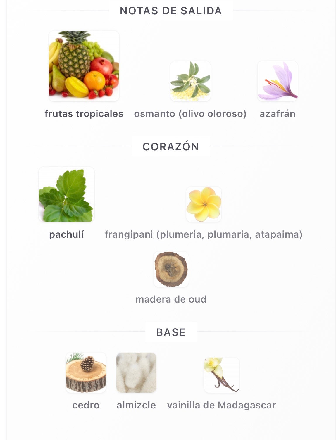 Riiffs Areebah Extrait de Parfum 100 ml