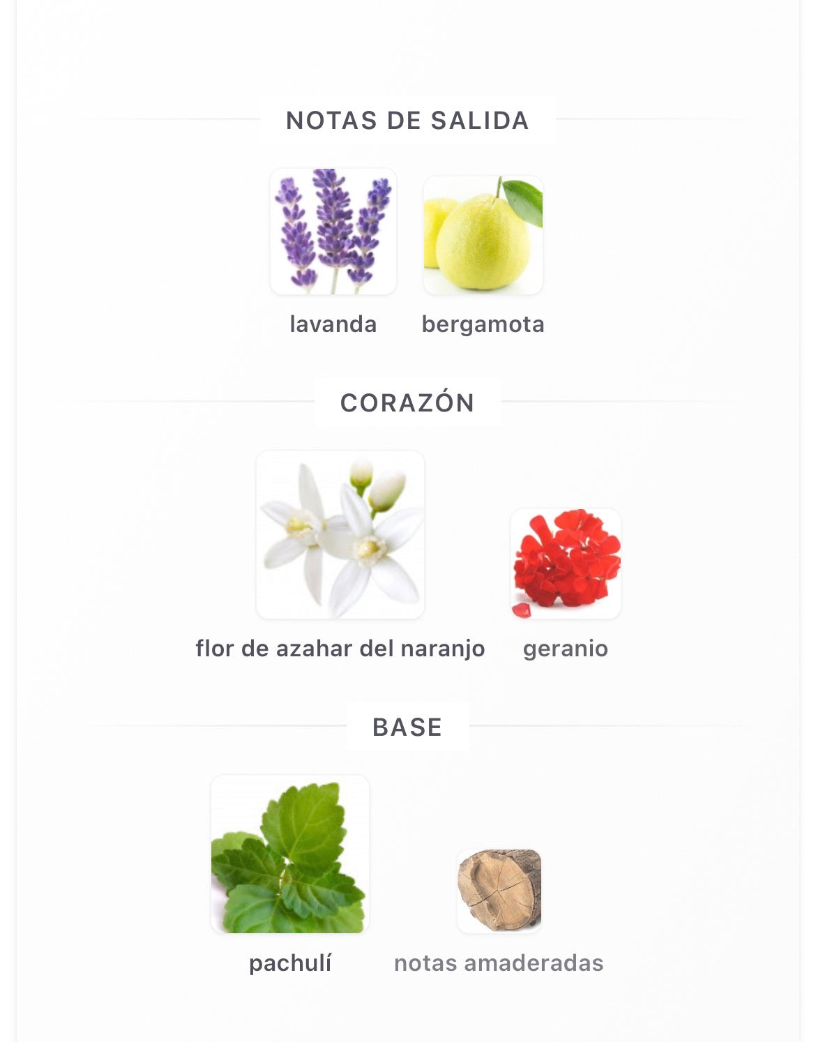 Armaf Dubai Nights Midnight Eau de Parfum 1000 ml