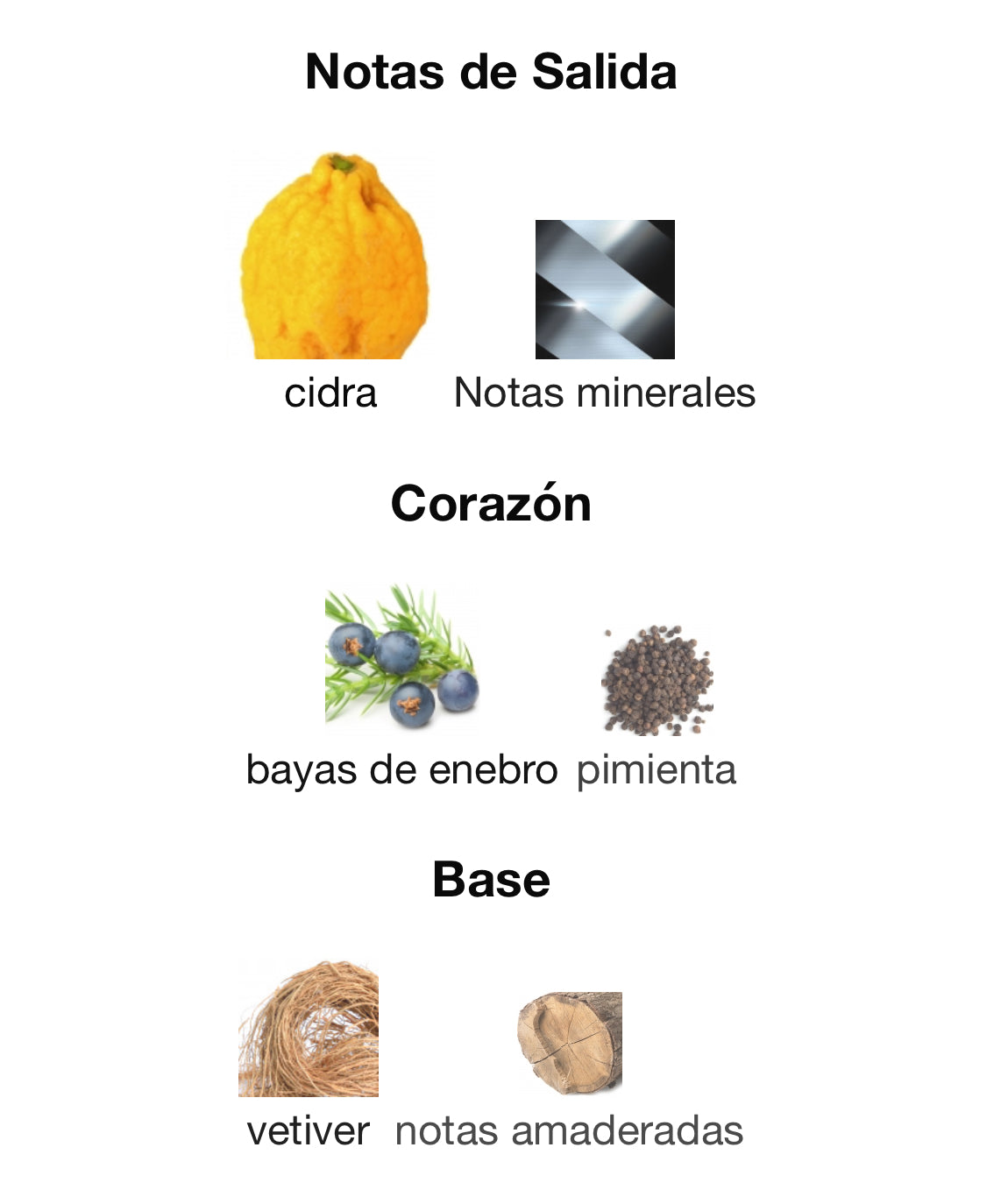 Maison Alhambra Toro pour Homme Glace Eau de Parfum 100 ml Hombre