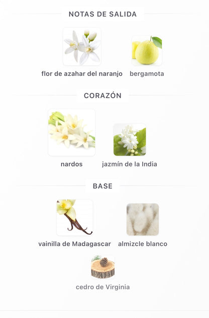 Maison Alhambra La Voie Eau de Parfum 100 ml