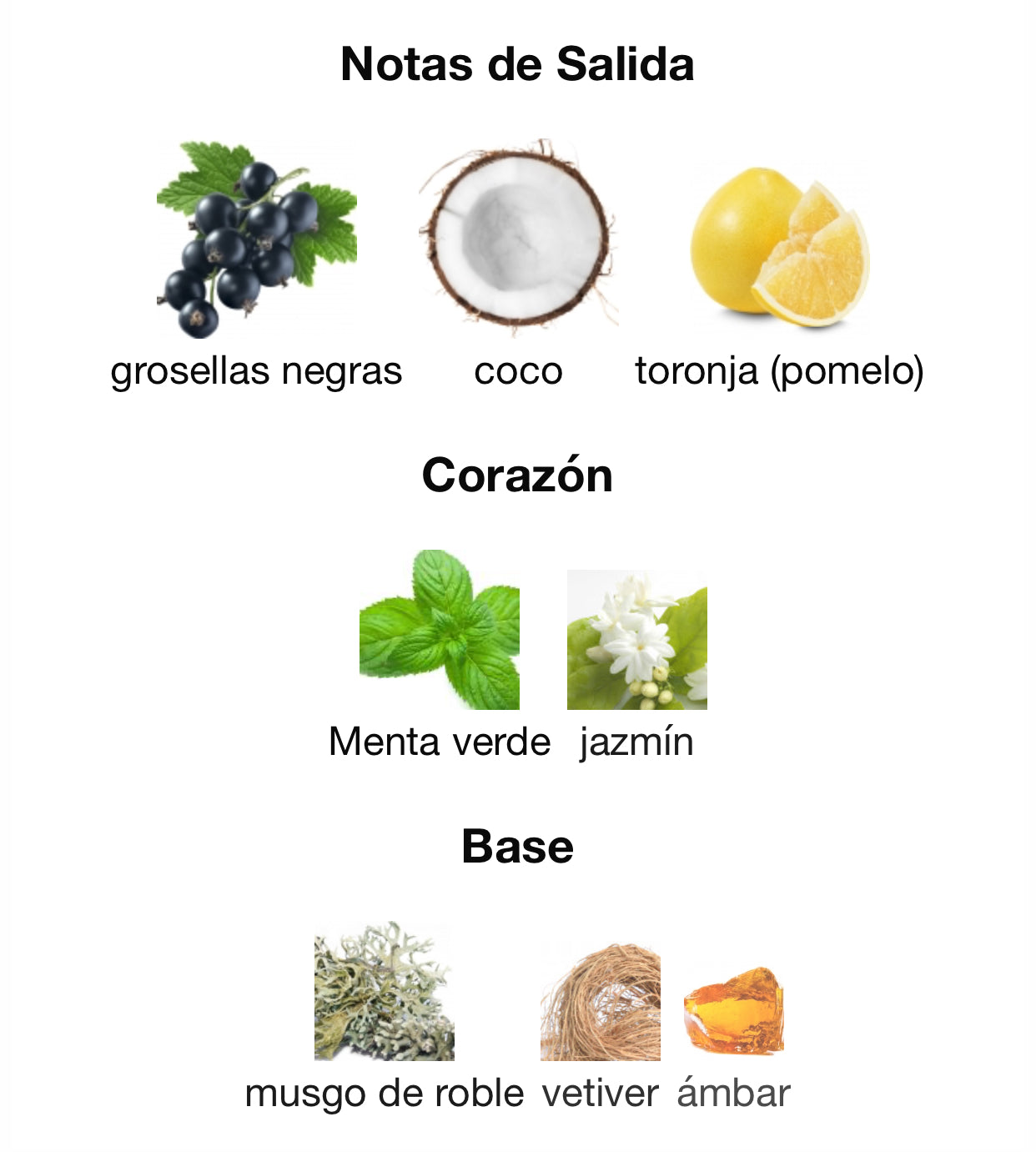 French Avenue Safari Breeze Eau de Parfum 100 ml Unisex