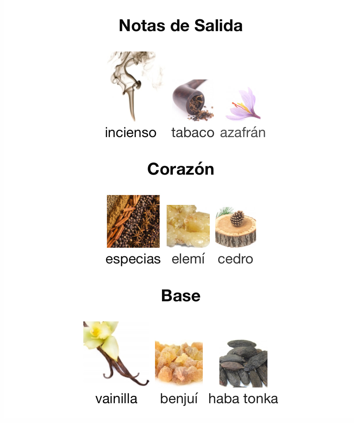 French Avenue Fierte Eau de Parfum 100 ml Unisex