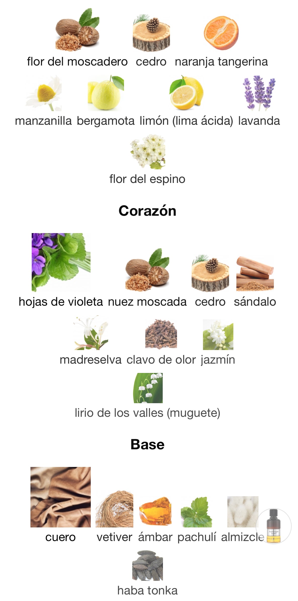 Maison Alhambra Fortnight Eau de Parfum 100 ml Hombre