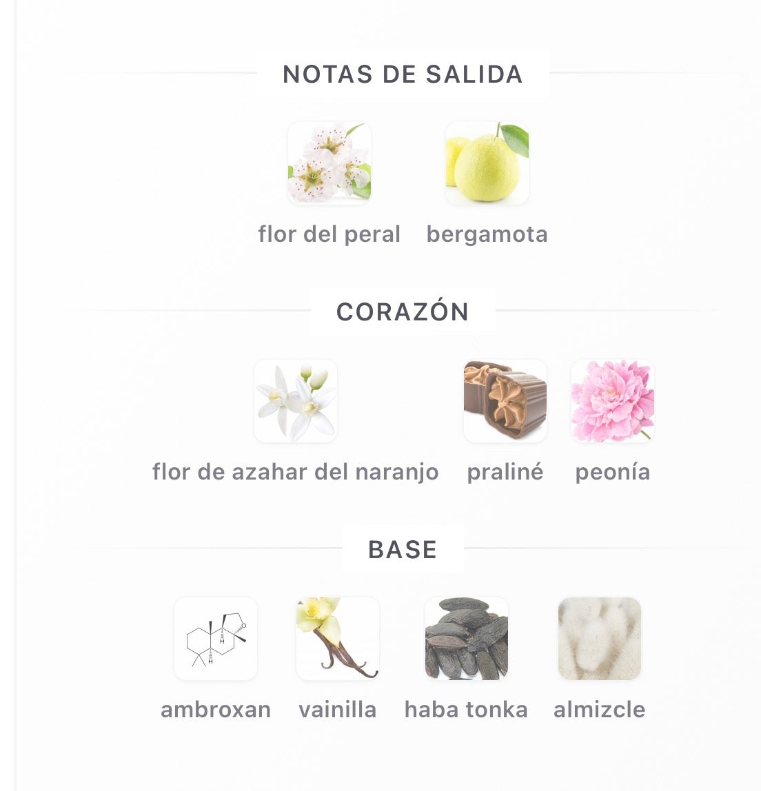 Lattafa Angham Second Song Eau de Parfum 100 ml Mujer