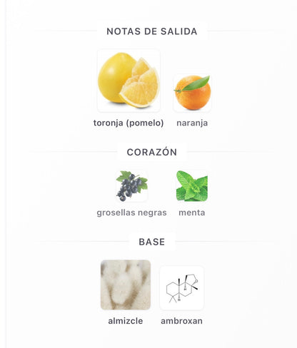 Al Absar Muhit Eau de Parfum 100 ml