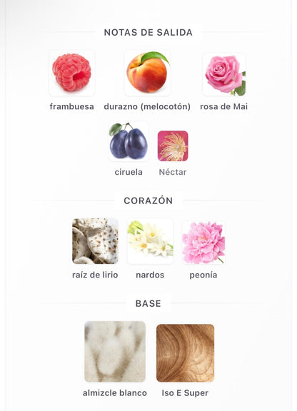 Riiffs Hulm Extrait de Parfum 100 ml Mujer