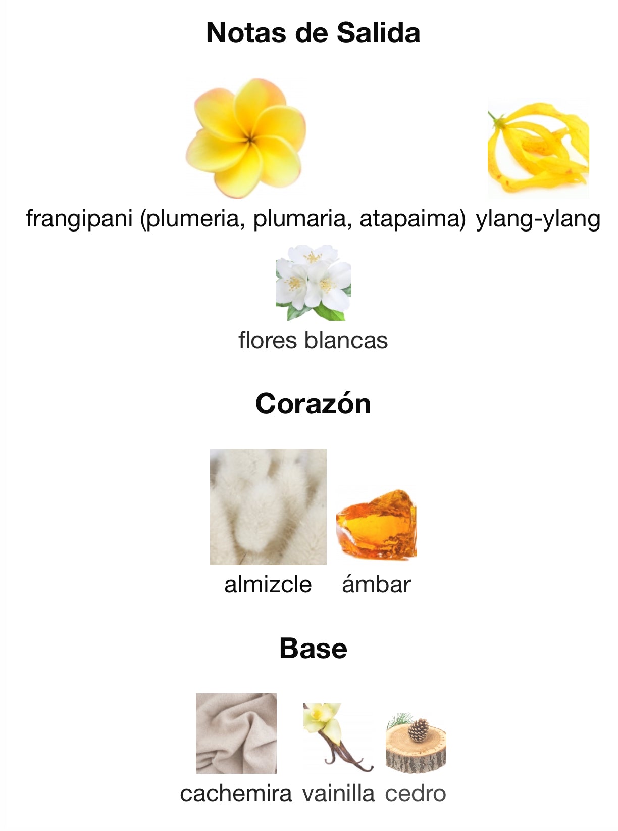 Maison Alhambra Narissa Ambre Eau de Parfum 100 ml