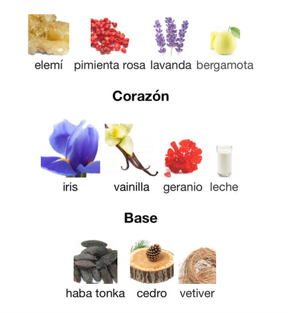 French Avenue Thunder Extrait Eau de Parfum 100 ml Unisex