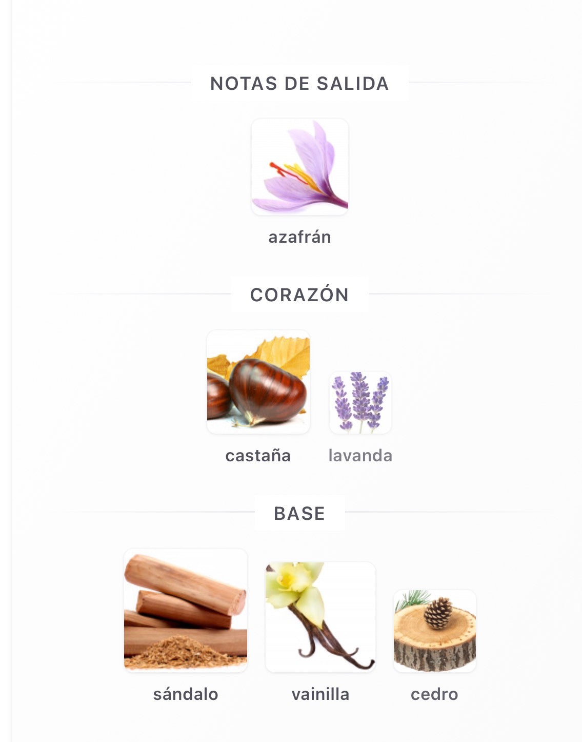 French Avenue Zenith Santal Extrait de Parfum 100 ml Unisex