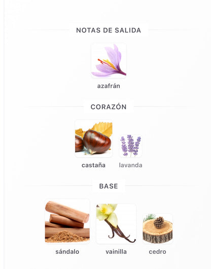 French Avenue Zenith Santal Extrait de Parfum 100 ml Unisex