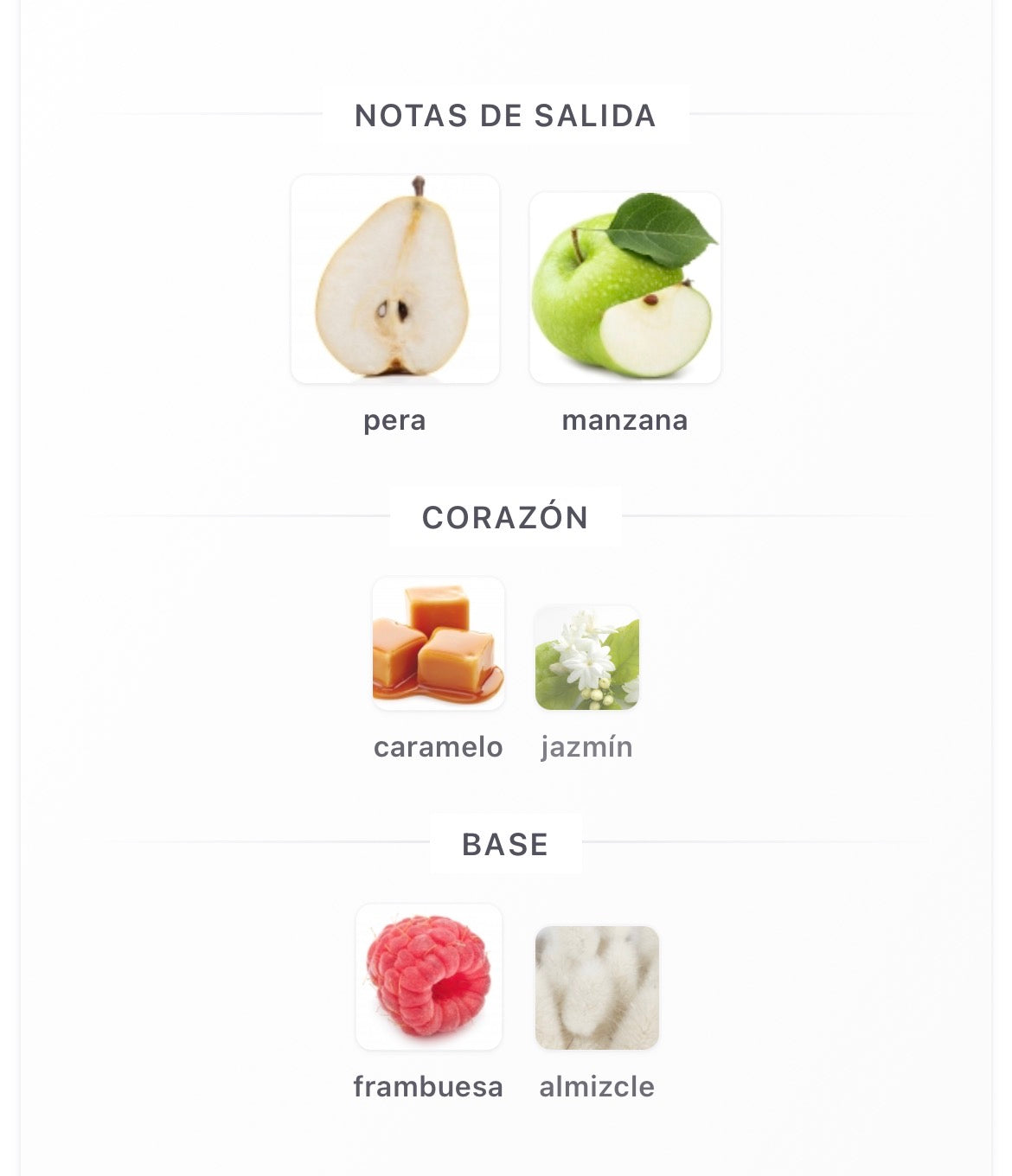 Paris Corner Pear Potion Eau de Parfum 100 ml