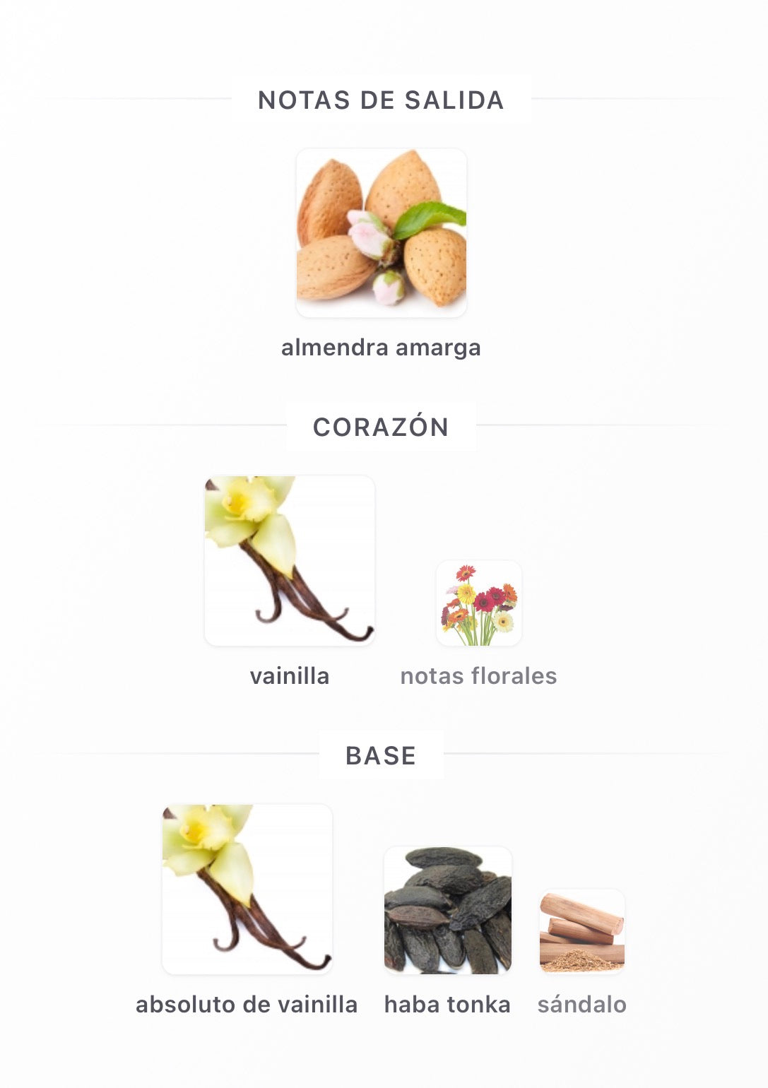 Maison Alhambra The White Cloud Eau de Parfum 100 ml