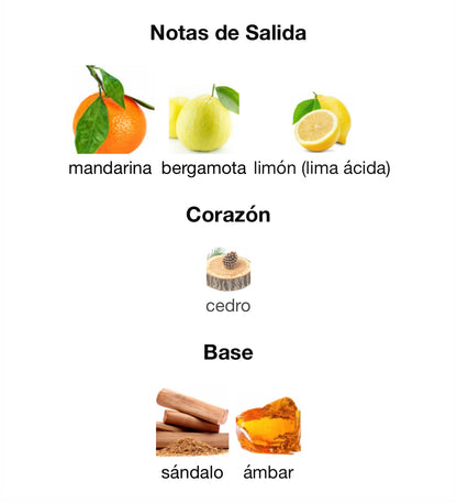 Lattafa Pride Pisa Eau de Parfum 100 ml Unisex