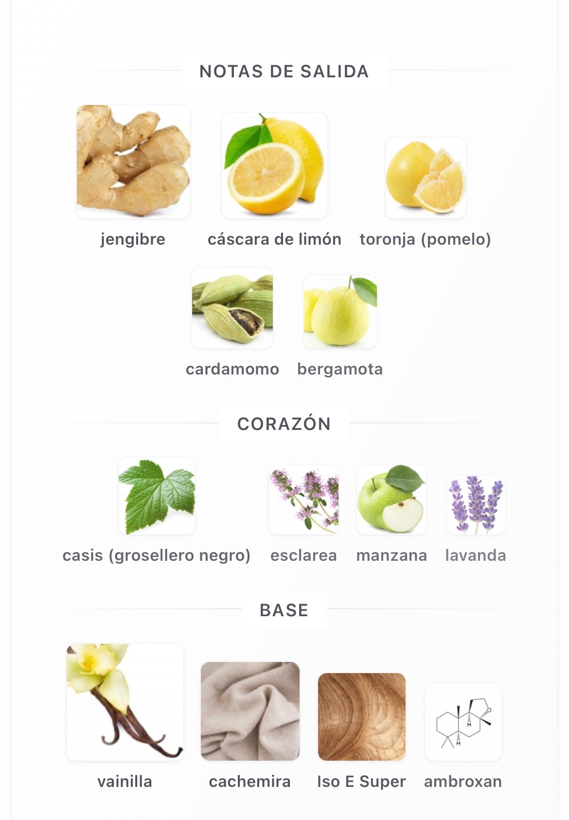 Riiffs Aswaar Extrait de Parfum 100 ml
