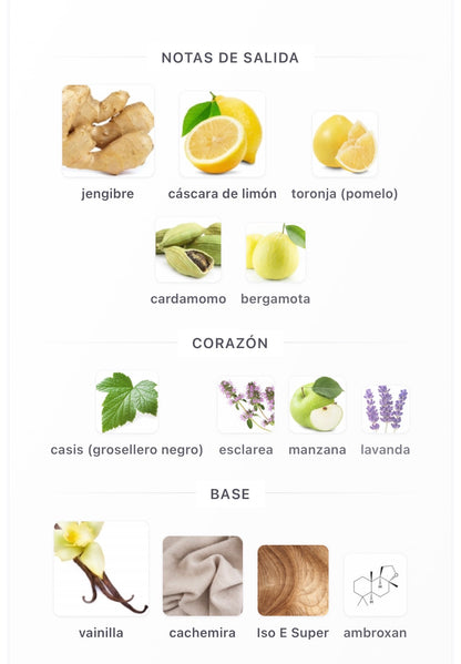 Riiffs Aswaar Extrait de Parfum 100 ml