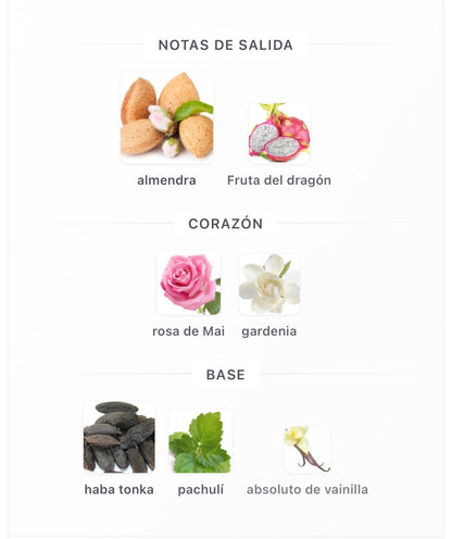 Riiffs Tahira Extrait de Parfum 100 ml