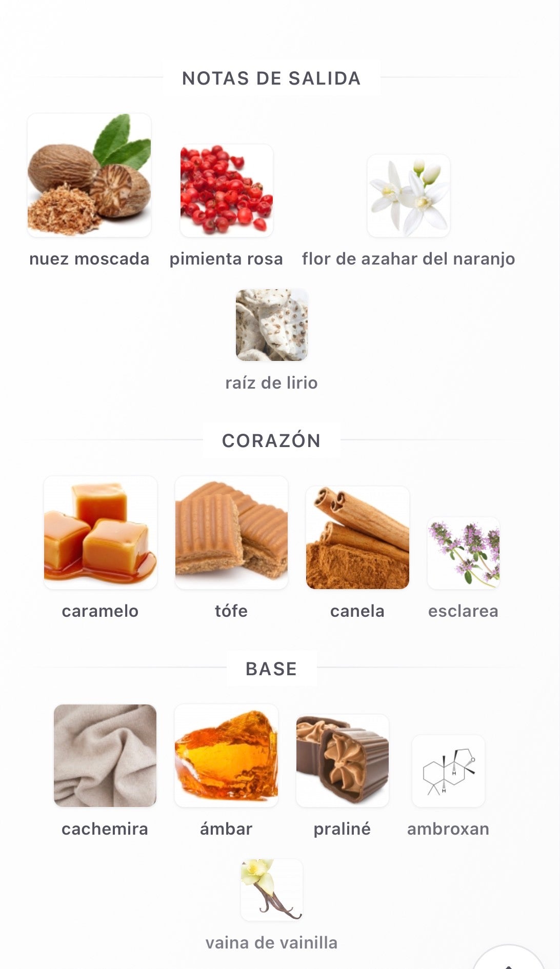 Riiffs Seasons Rifs Extrait de Parfum 100 ml