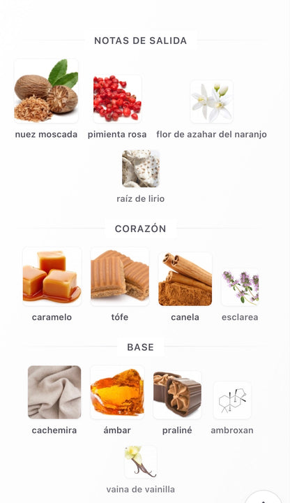 Riiffs Seasons Rifs Extrait de Parfum 100 ml